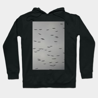 Birds in Flight on a Cloudy Day Hoodie